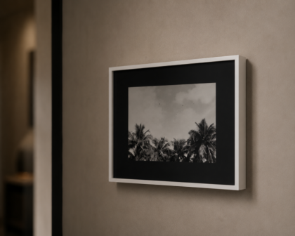 The Birds of Palms Limited Edition Print — 1 of 150