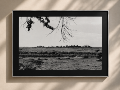 French Oysters Limited Edition Print — 1 of 20